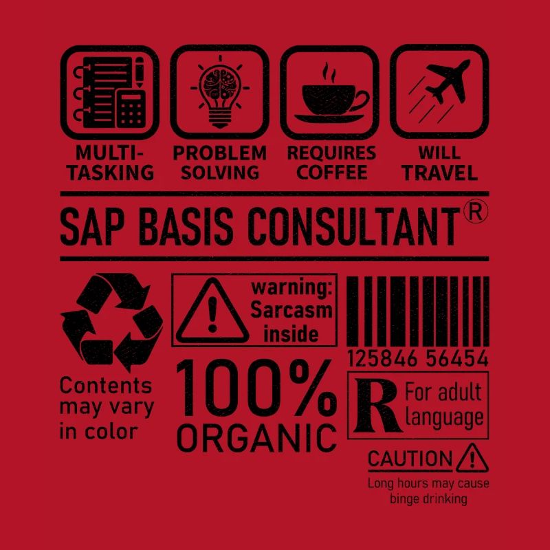 Sap Basis Consultant multi tasking problem solving
