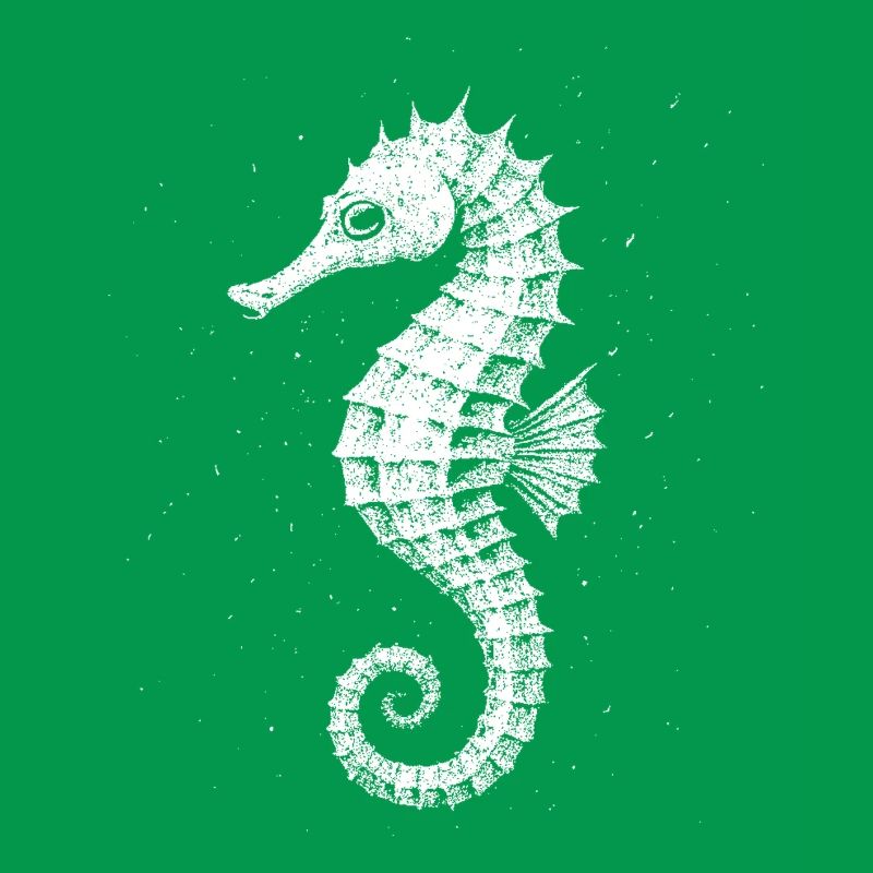 Hippocampe