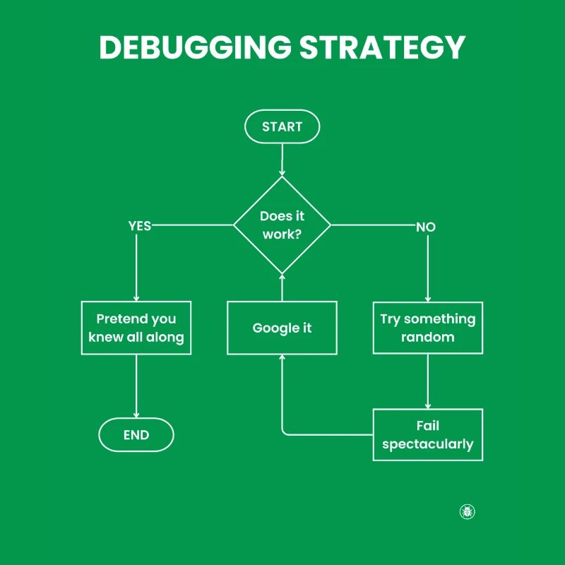 Debugging Strategy Flowchart - Does It Work Gift