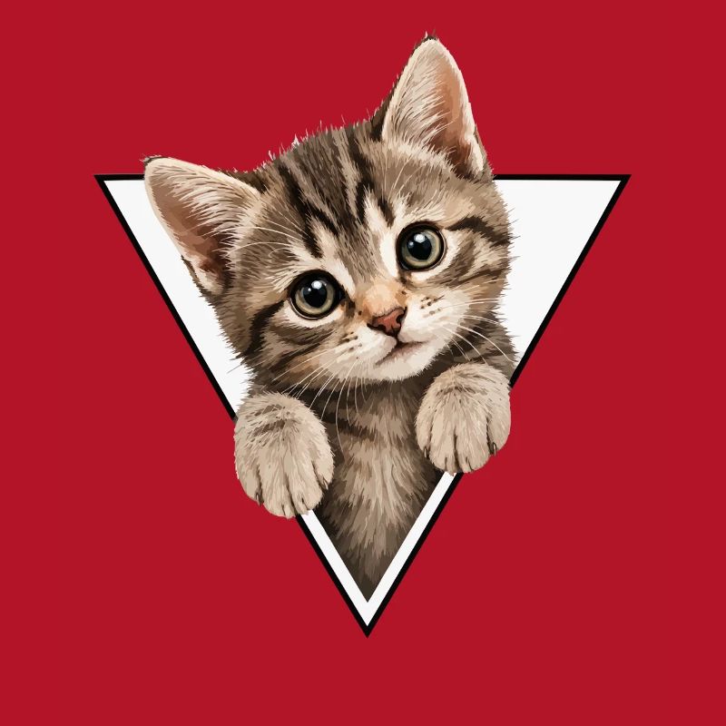 Chaton dans le triangle