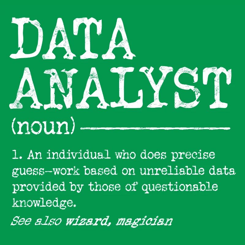 Data Analyst Meme Tee