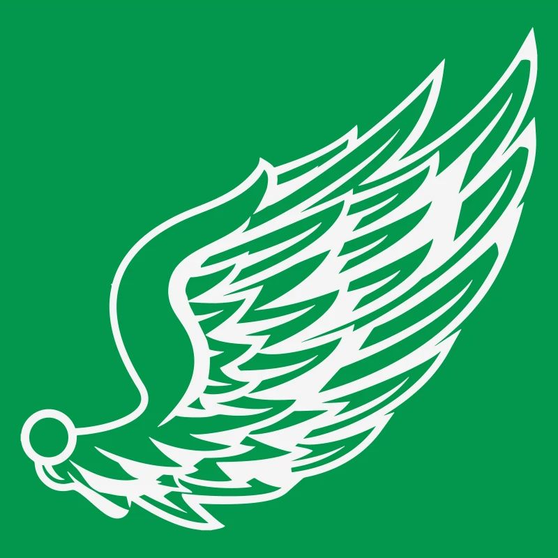 Wings with dynamic feather drawing