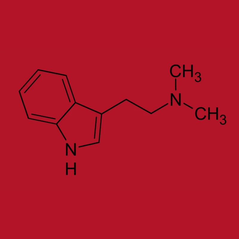 DMT dimethyltryptamine formule structurelle