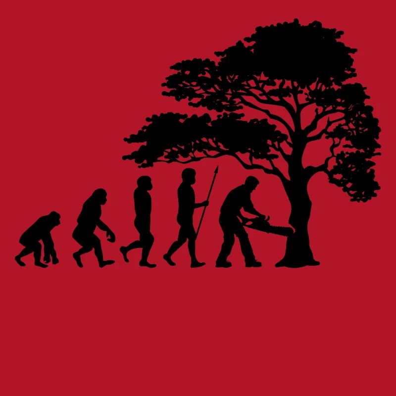 Lumberjack Tree Evolution sciure de bois