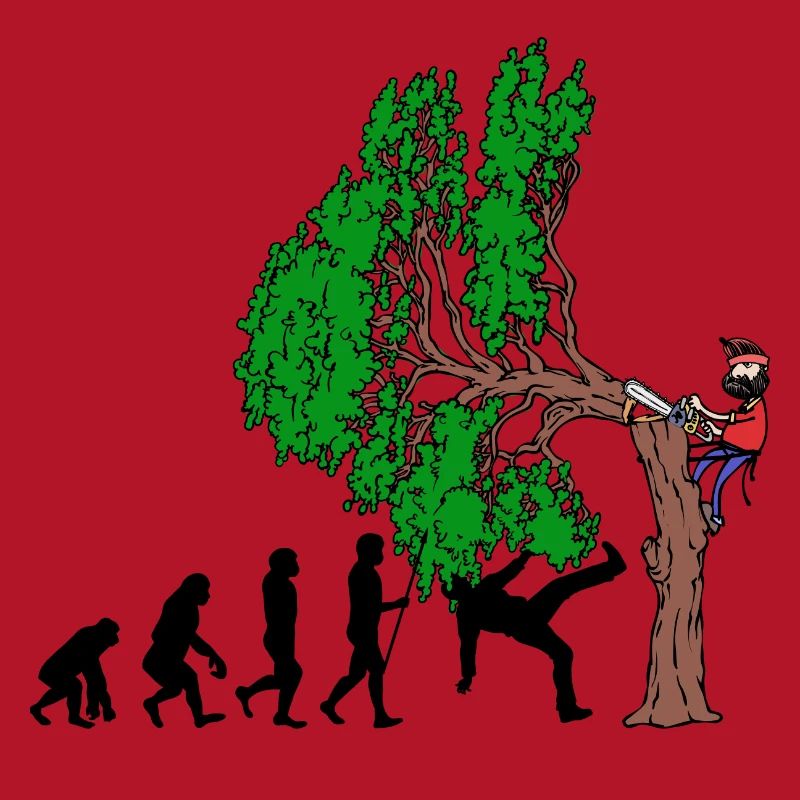 Tree Evolution Bois Bûcheron Forêt de bûcherons