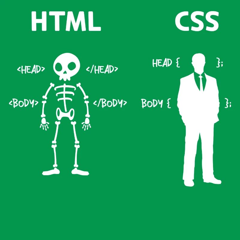 Code Css C++ Php Java Developer Code Skripting