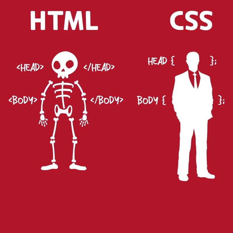 Code Css C++ Php Java Developer Code Skripting