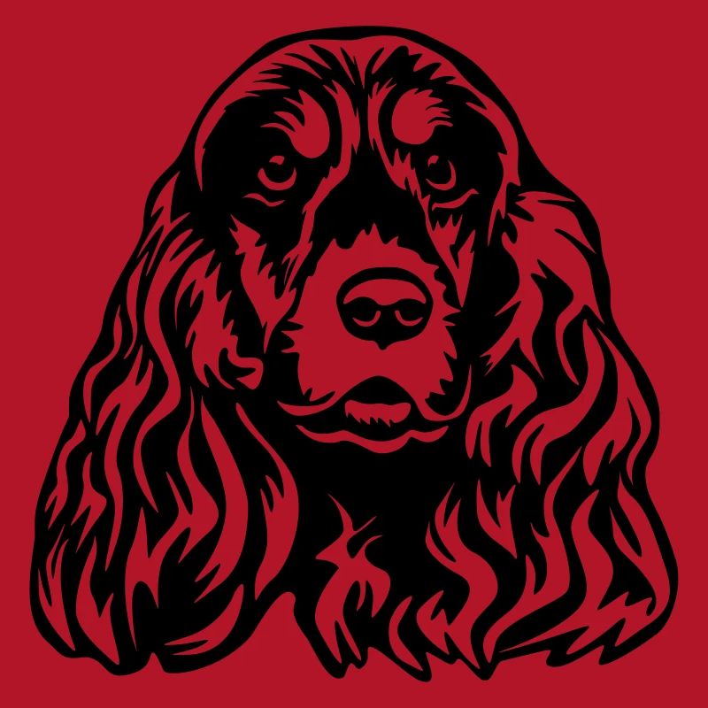 Cocker Spaniel tête