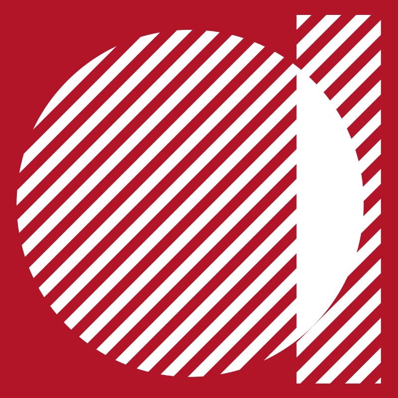 Geometric Stripe Circles Monochrome Pattern