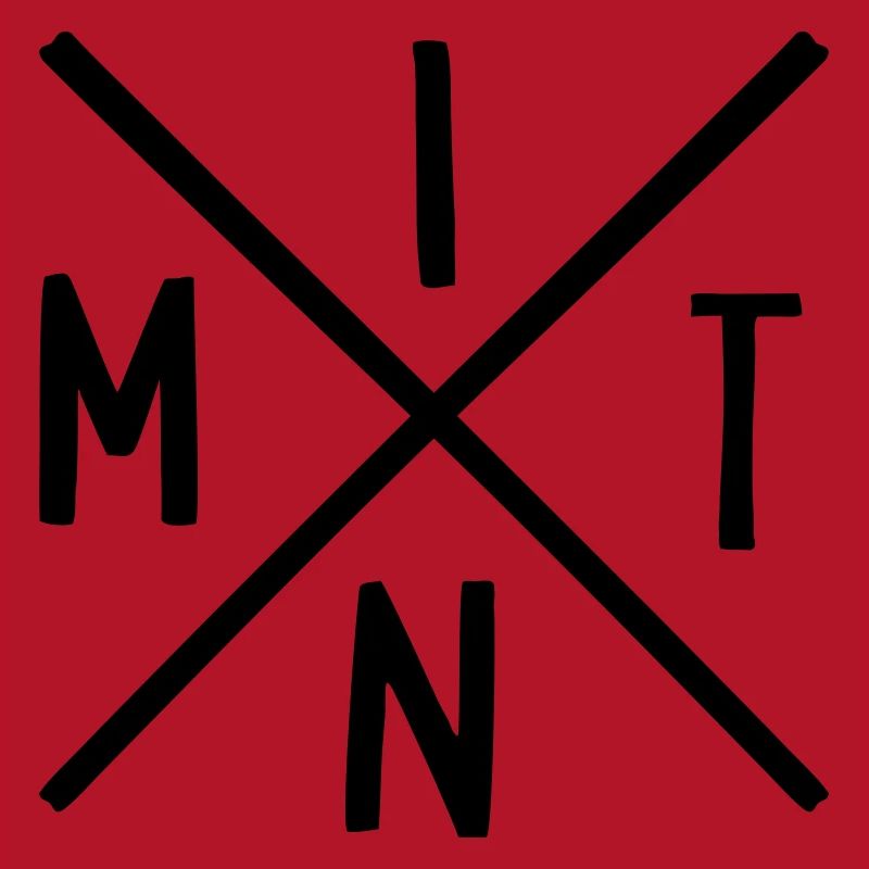 MINT Fächer