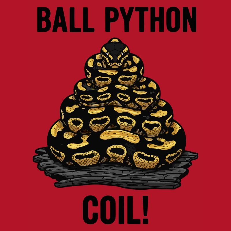 Royal Python Ball Python Coil Reptile Pyramid