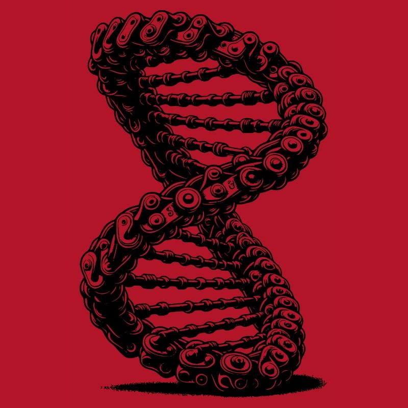 Möbius Loop Curved Chains DNA