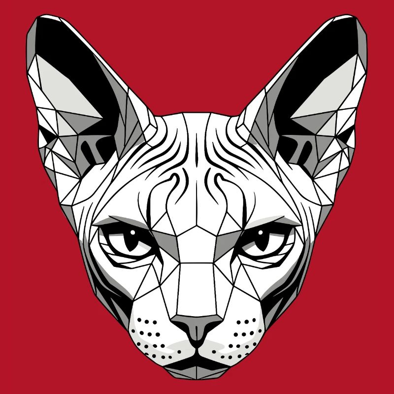 Sphynx Chat Sphynx Chat Chat Canadien Sphinx mignon
