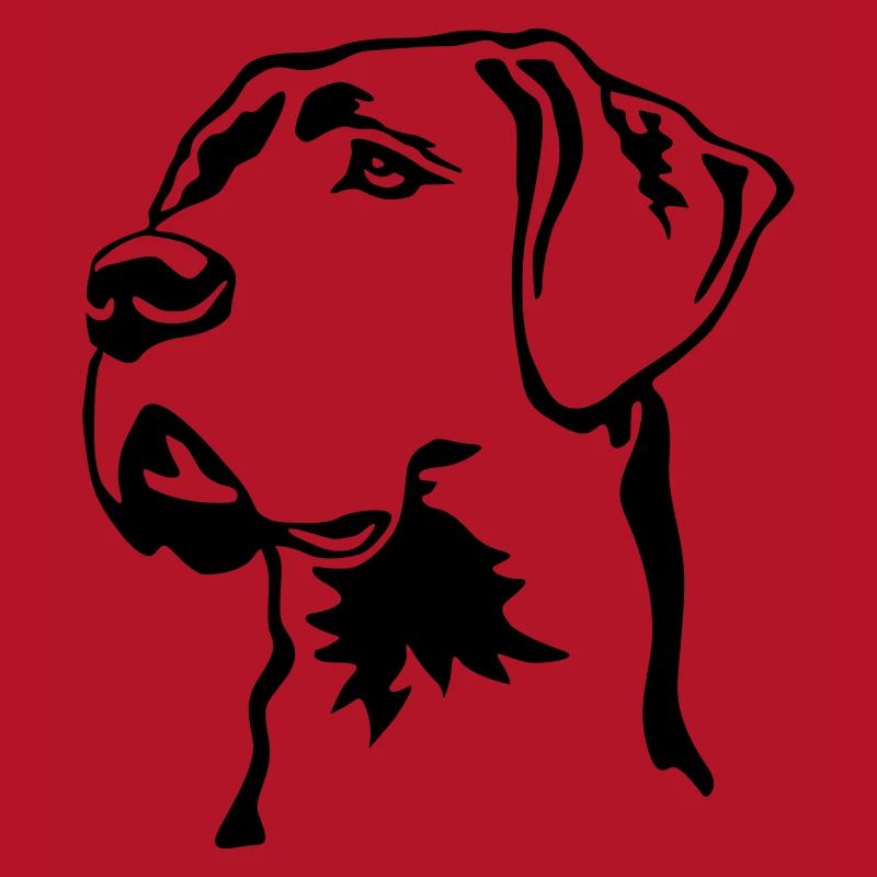 Great Dane head