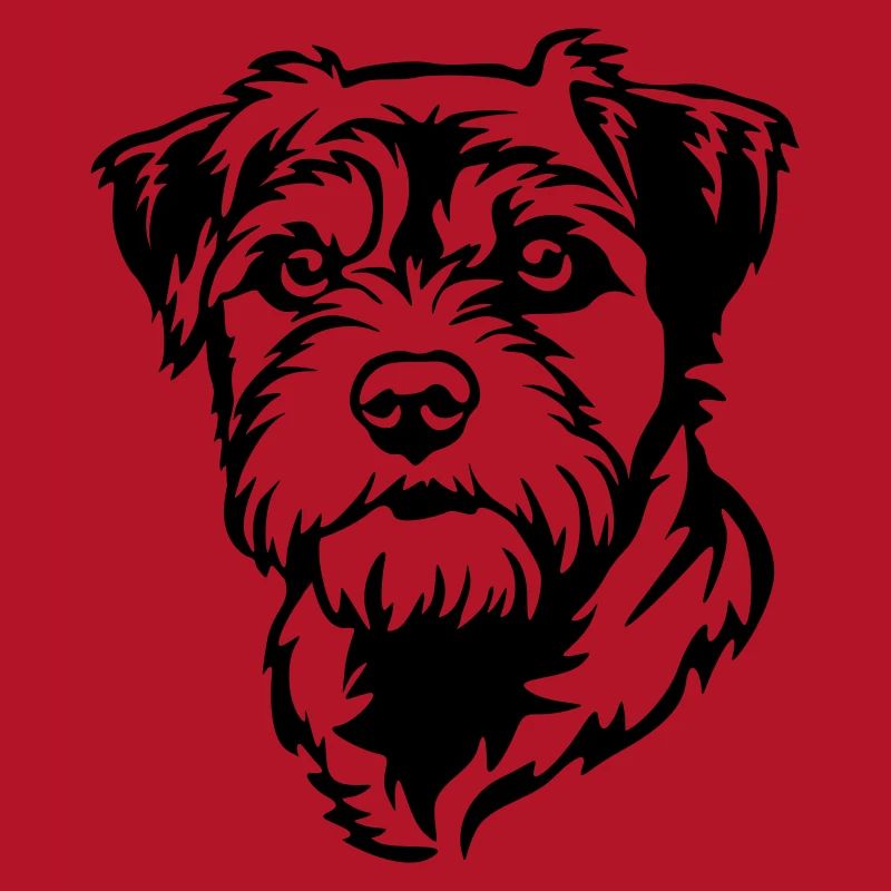 Border Terrier Head