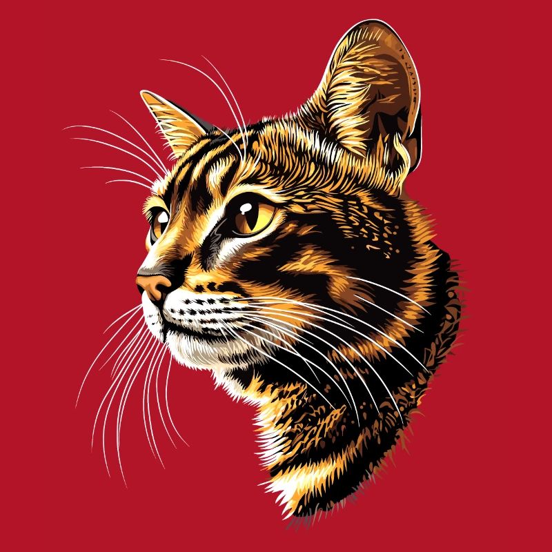 Chat Bengal Chat Léopard Chat Leopardette Chats Bengale