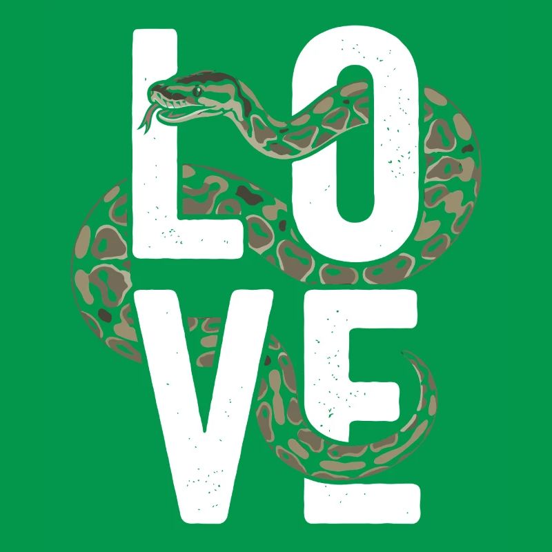 Königspython Schlangen LOVE Terrarium Python