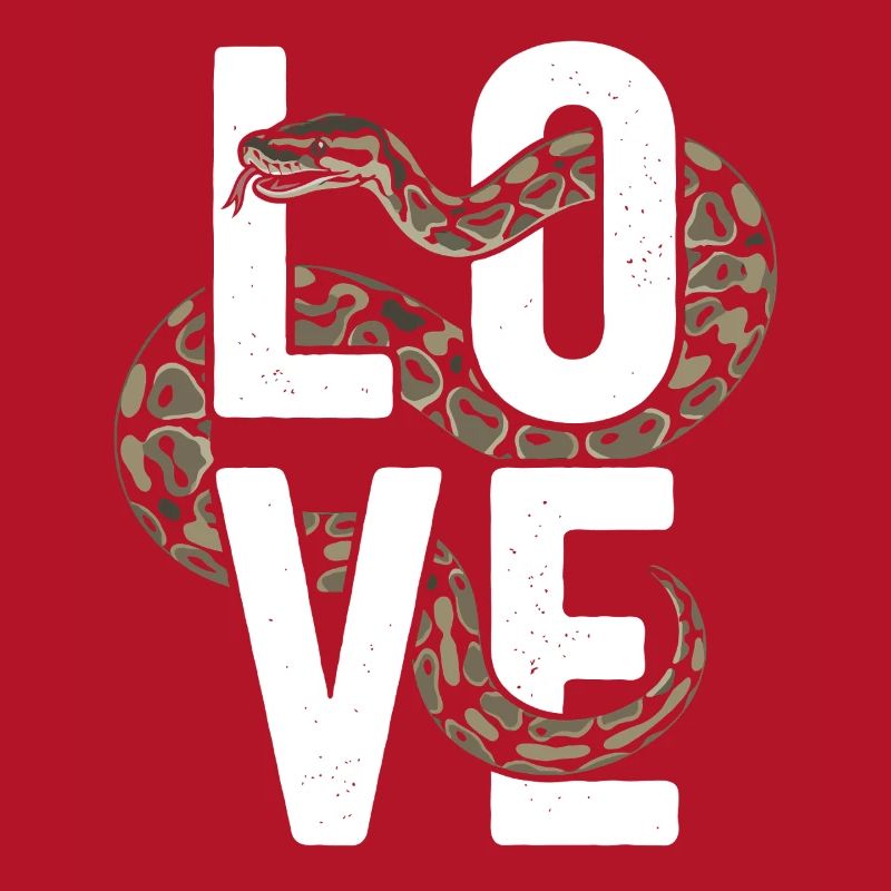 Les serpents rois Python ADORENT les pythons de terrarium