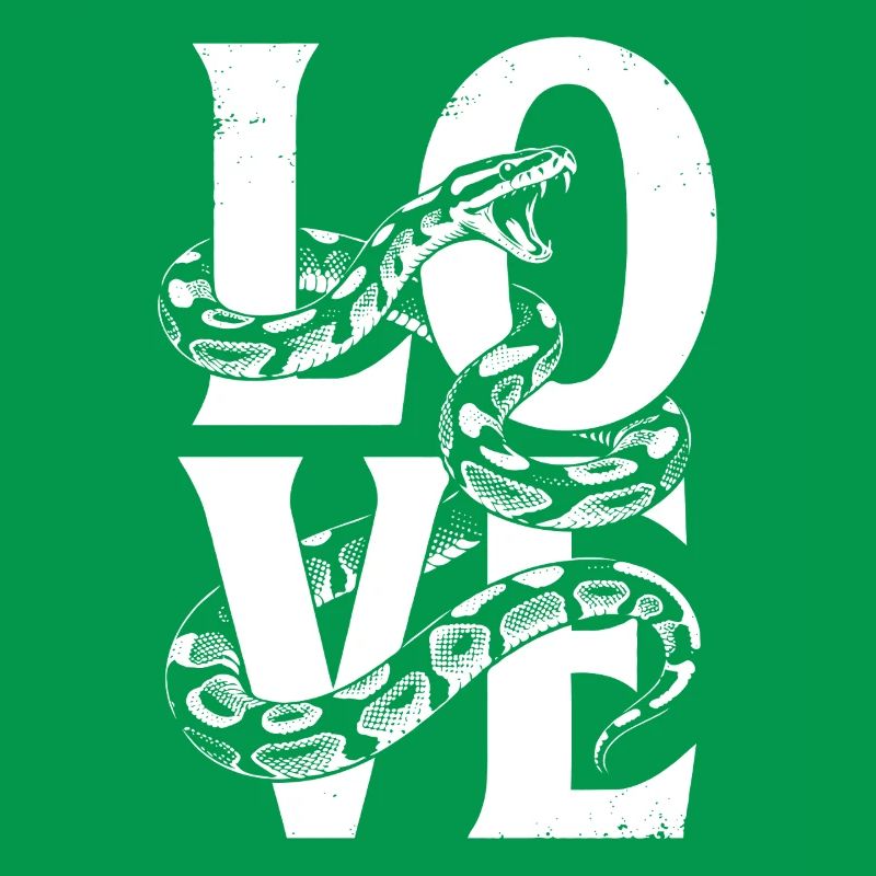 Les serpents rois Python ADORENT les pythons de terrarium