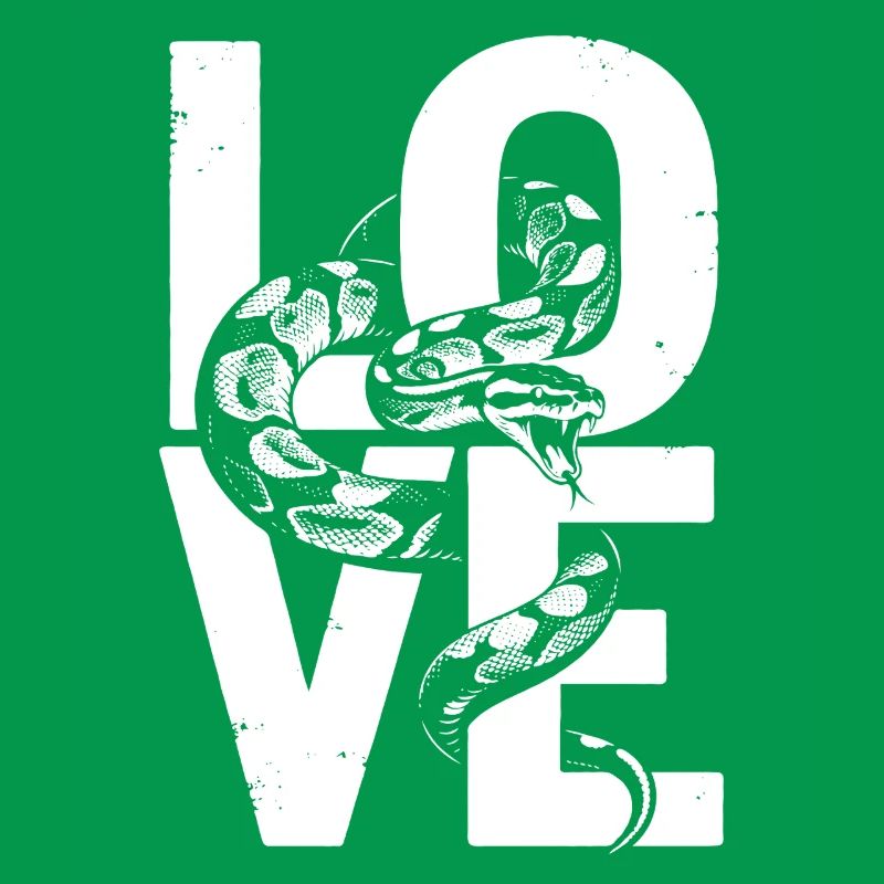 Königspython Schlangen LOVE Terrarium Python