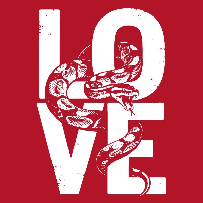 Königspython Schlangen LOVE Terrarium Python