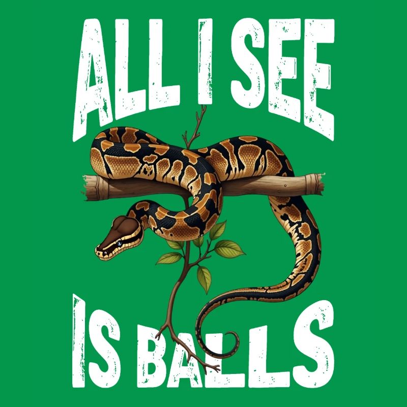 Königspython Schlangen Liebhaber Terrarium Python