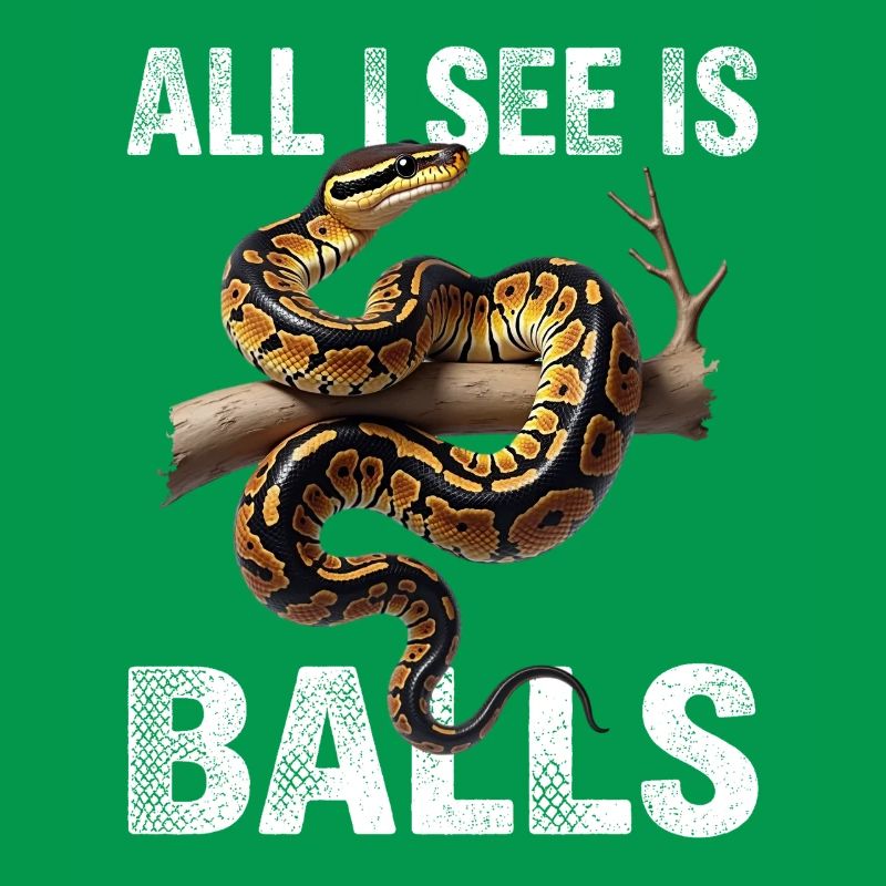 Königspython Schlangen Liebhaber Terrarium Python