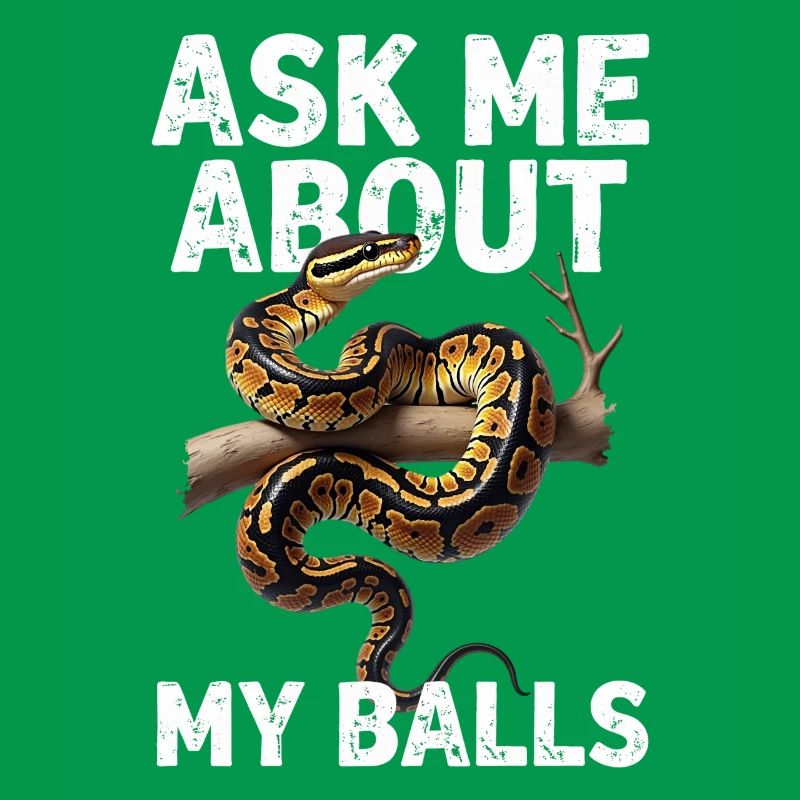 Königspython Schlangen Liebhaber Terrarium Python