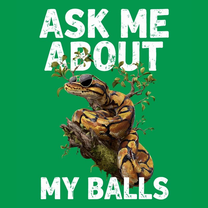 Königspython Schlangen Liebhaber Terrarium Python