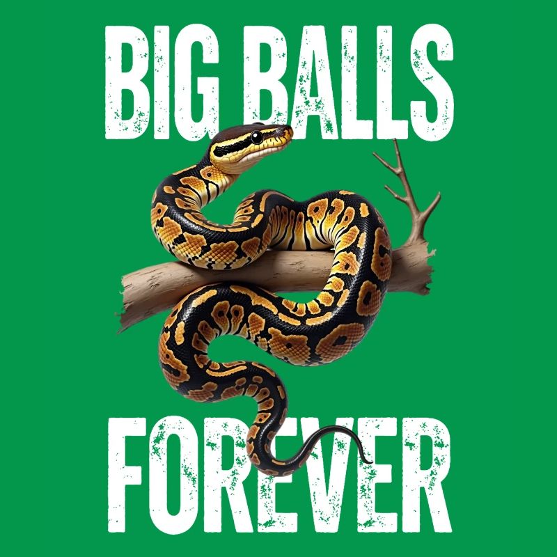 King Python Snakes Lover Terrarium Python