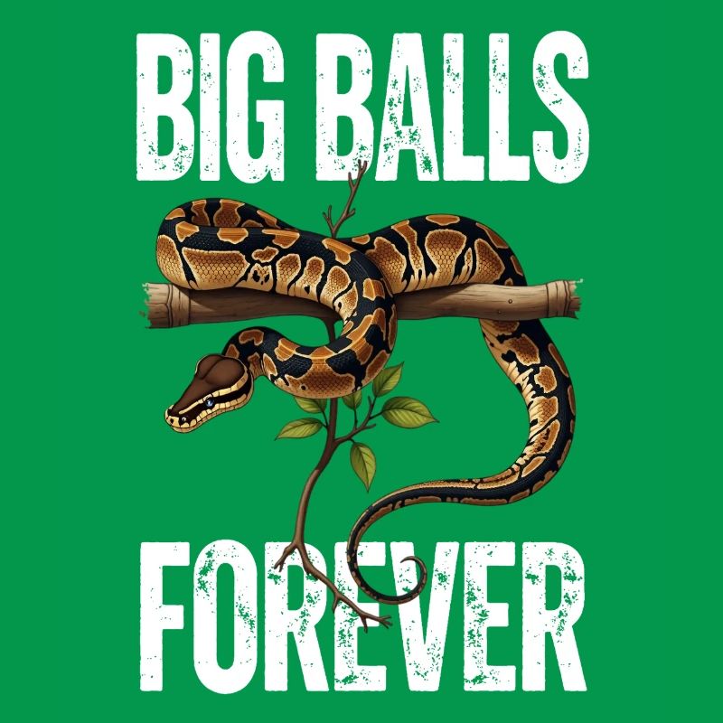 King Python Snakes Lover Terrarium Python