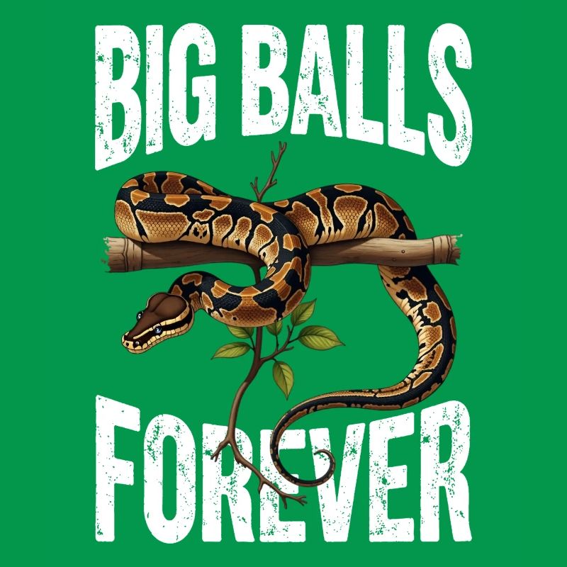 King Python Snakes Lover Terrarium Python