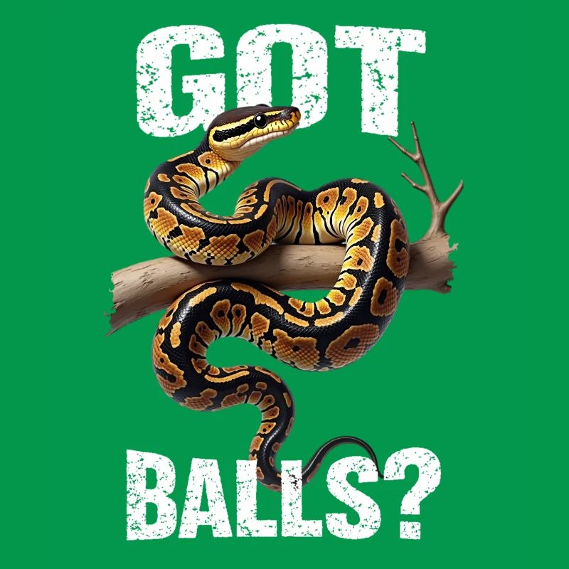 Python roi Serpents Amateurs de terrarium Python