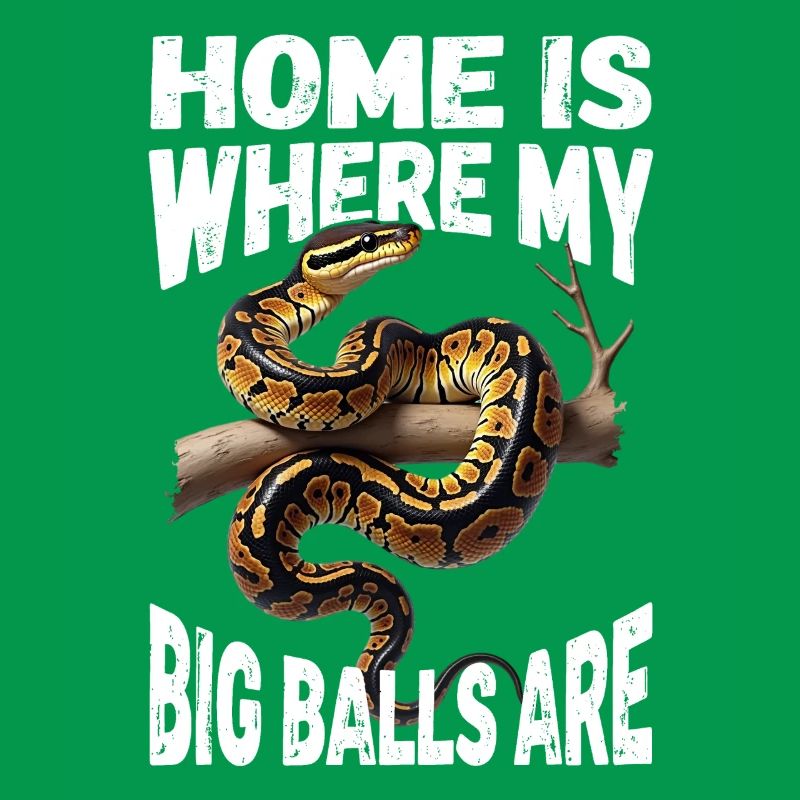 Königspython Schlangen Liebhaber Terrarium Python