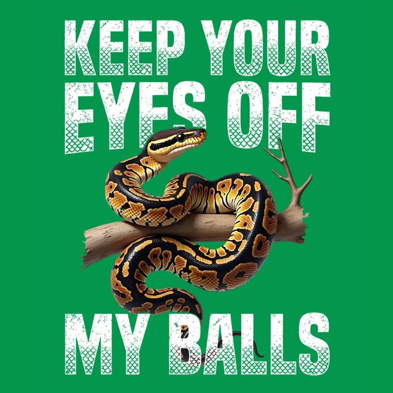 Königspython Schlangen Liebhaber Terrarium Python