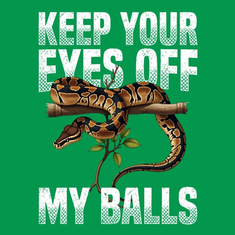 Python roi Serpents Amateurs de terrarium Python