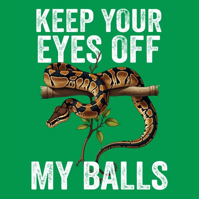 Python roi Serpents Amateurs de terrarium Python