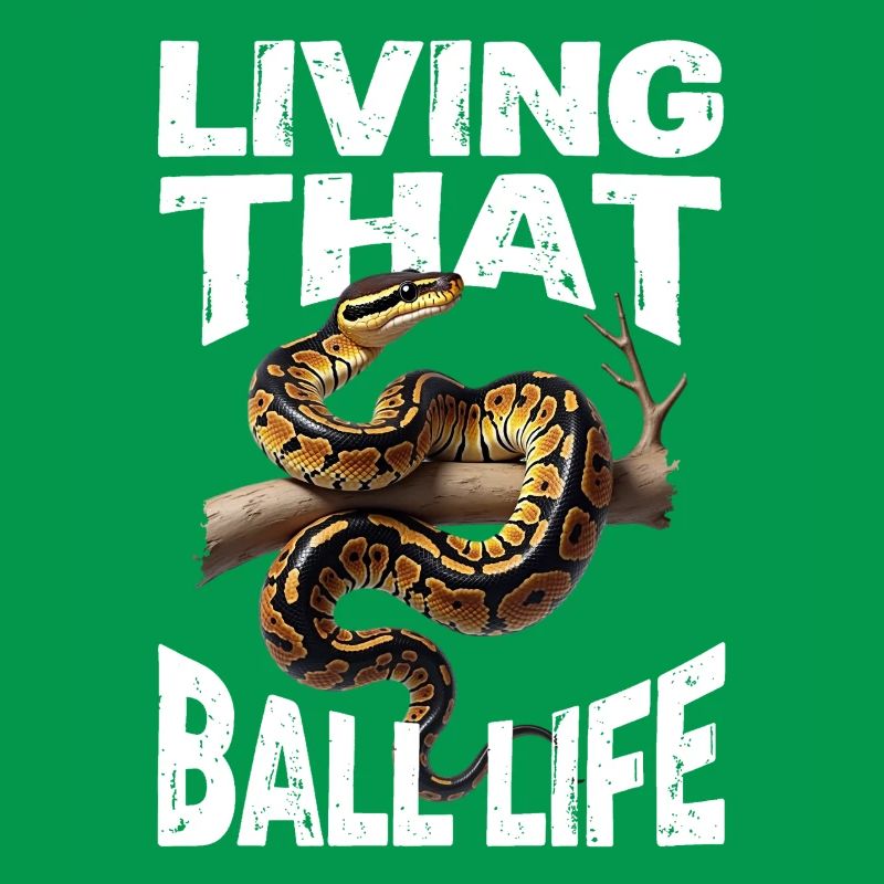 Königspython Schlangen Liebhaber Terrarium Python