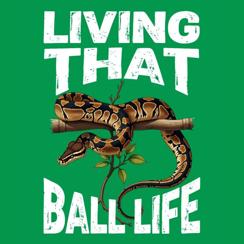 Python roi Serpents Amateurs de terrarium Python