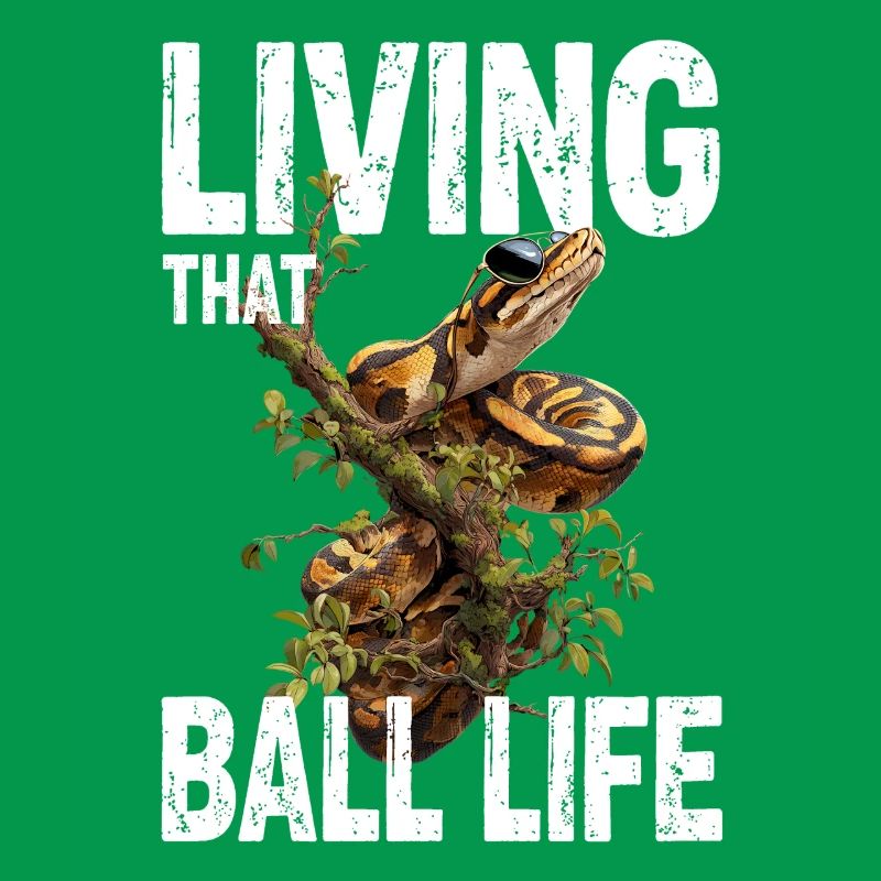 Python roi Serpents Amateurs de terrarium Python