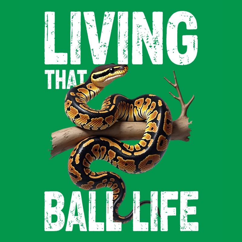 Königspython Schlangen Liebhaber Terrarium Python