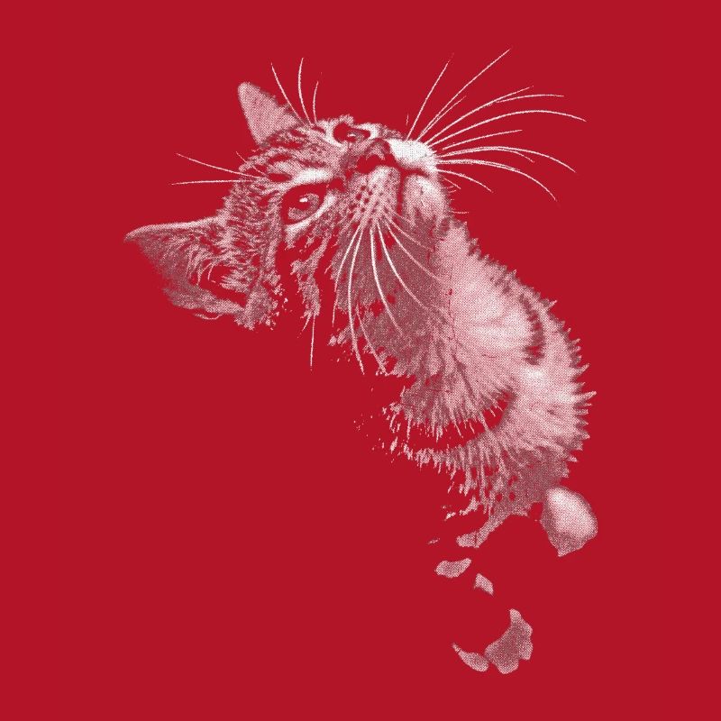 Regard de chat ronronnant en niveaux de gris