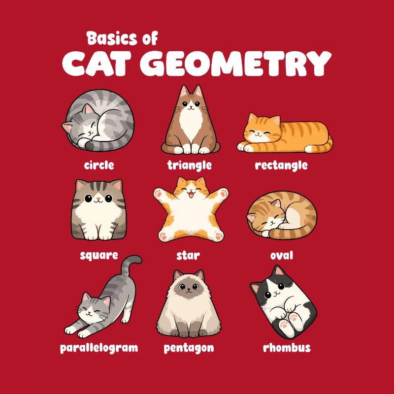 Basics of Cat Geometry Fun Math