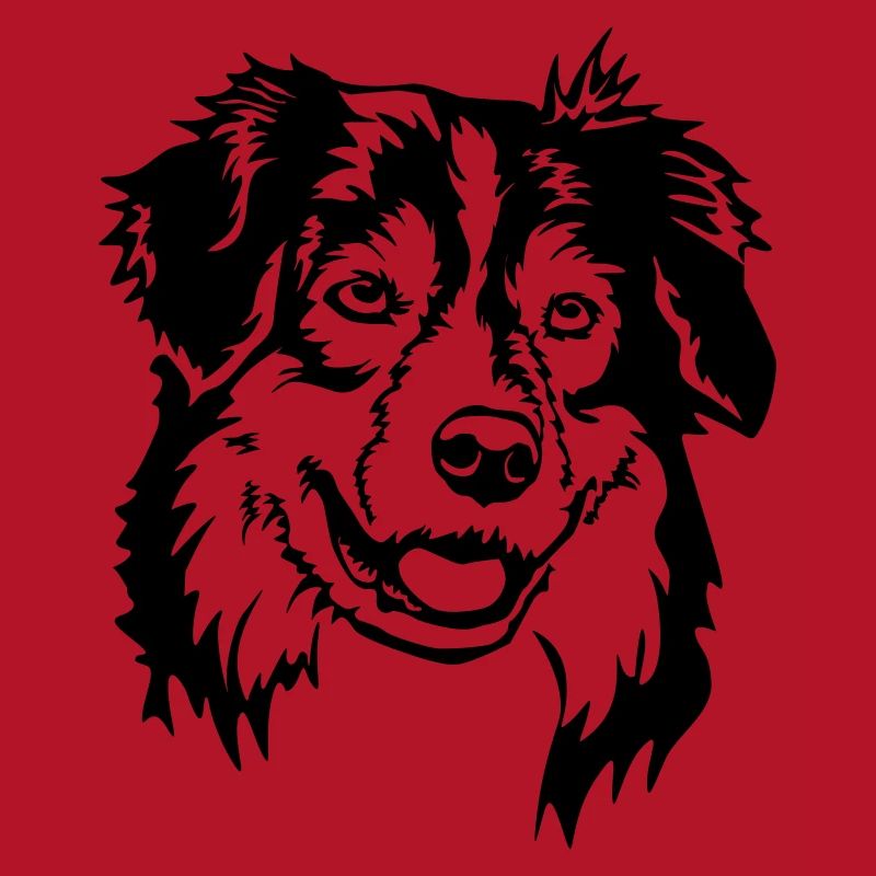 Australian Shepherd Head