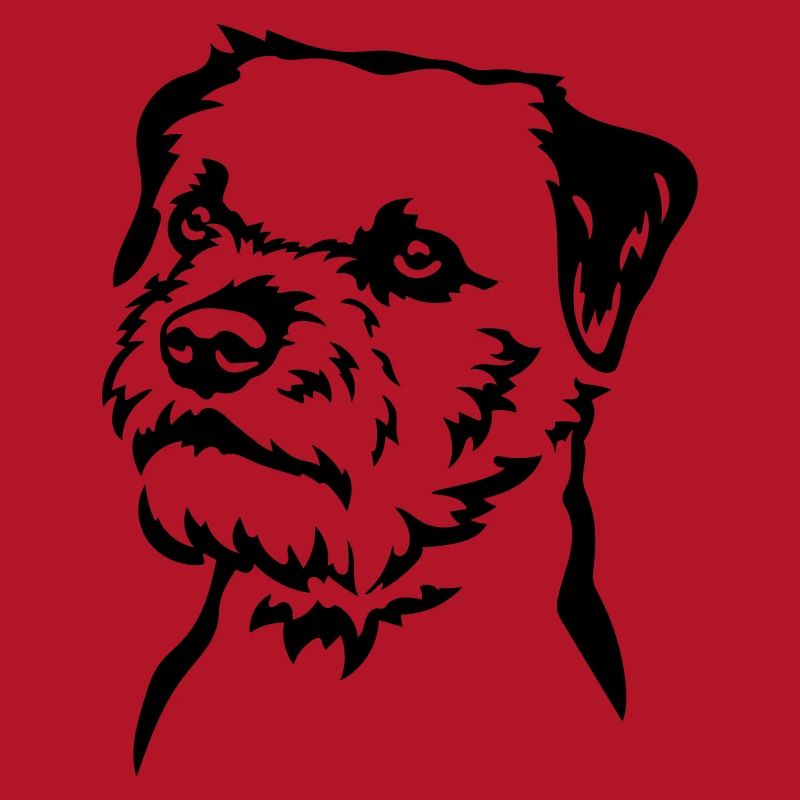 Border Terrier Head
