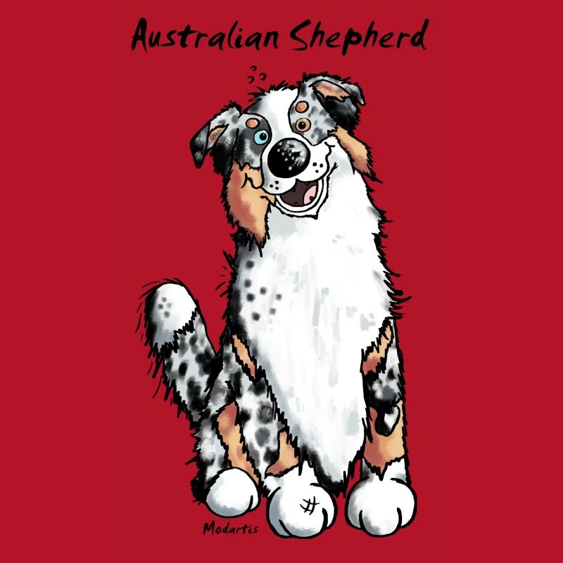 Witziger Australian Shepherd