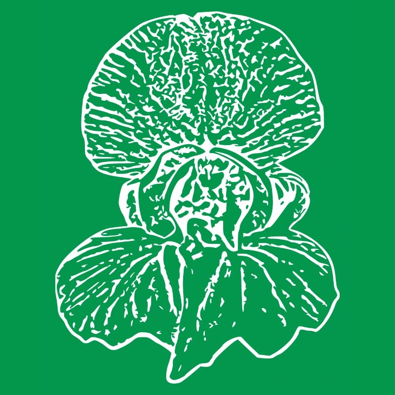 Muttertags Geschenk Mutter Muttertag Geschenkidee 