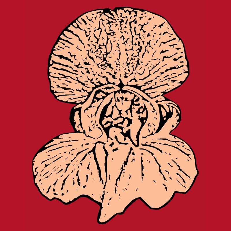 Muttertags Geschenk Mutter Muttertag Geschenkidee 