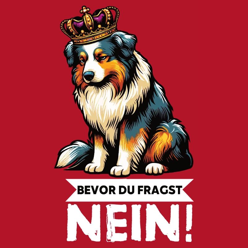 Bevor Du Fragst Australian Shepherd Aussie Aussie