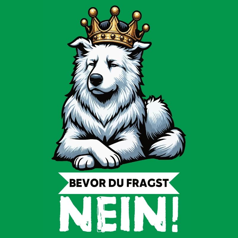 Before you ask: White Shepherd Shepherd